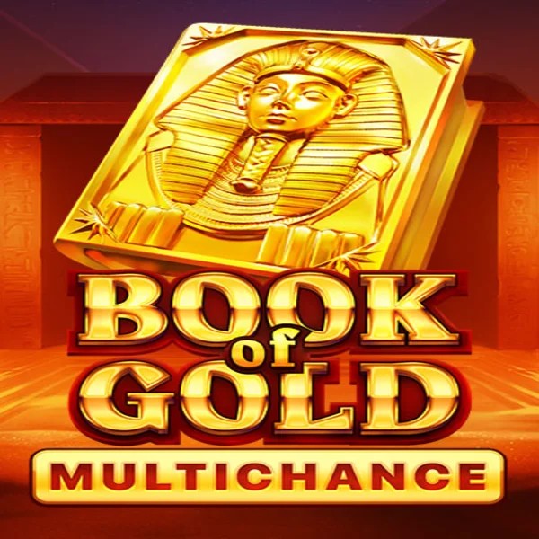 Book of Gold Multichance logo by Playson at Spin Dynasty Casino