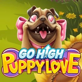 game logo by RubyPlay on spindynasty.eu.com